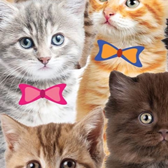 🆕 🐈 Kitten Cat Pattern Duck Duct Tape Packaging Shipping Supplies New! NWT - Picture 4 of 4